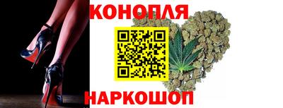 стафф Дубна