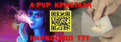 стафф Дубна