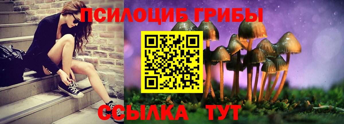 Магадан  Псилоцибиновые грибы мухоморы  Вход с VPN 